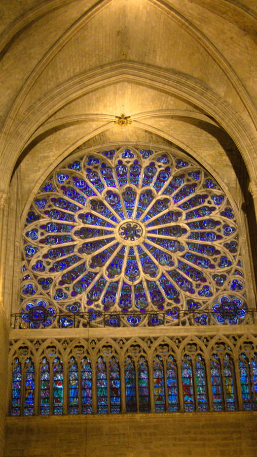 notredame035